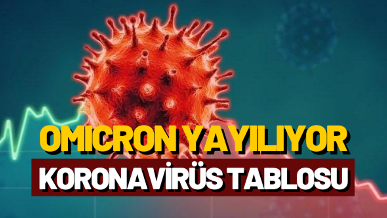 1 Ocak Koronavirüs tablosu açıklandı!
