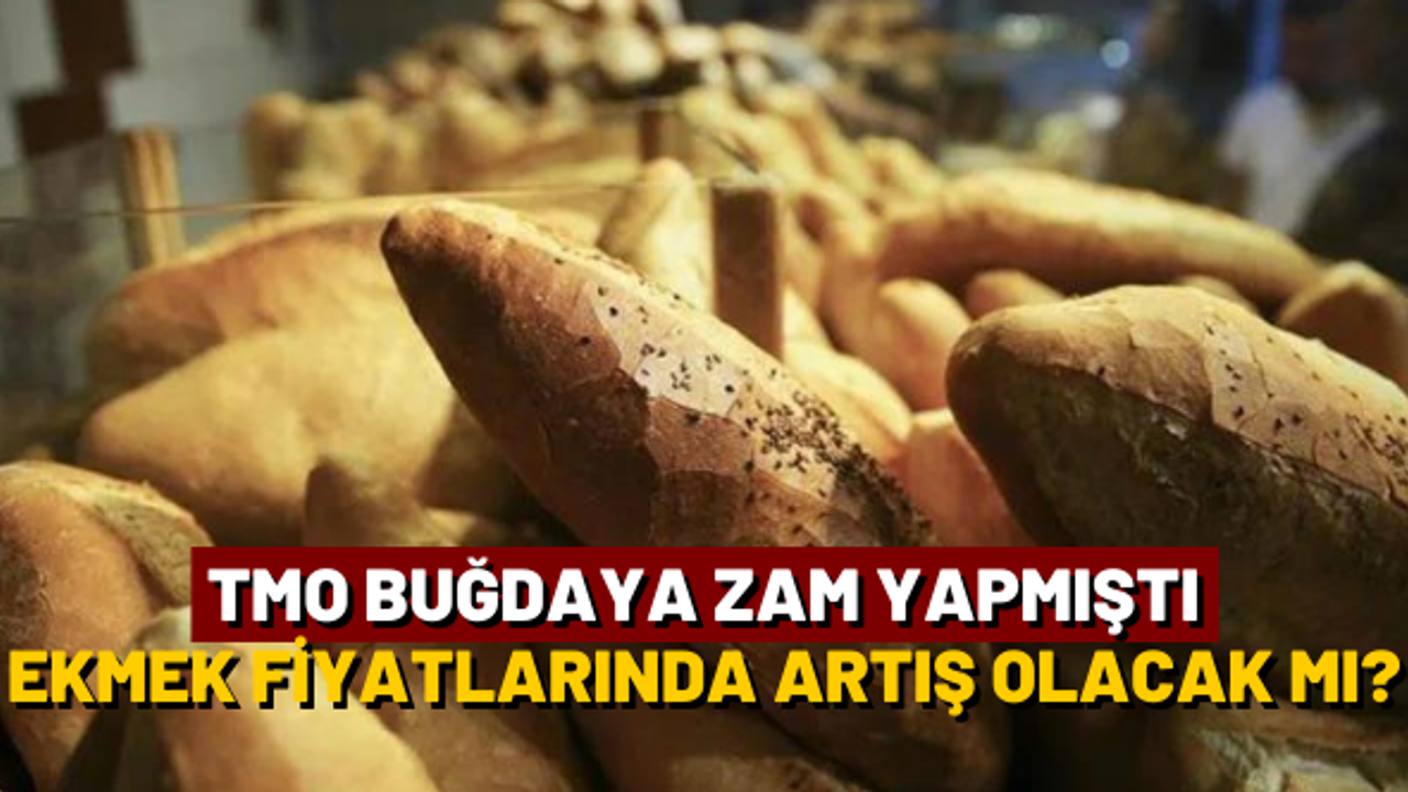 TMO buğdaya zam yapmıştı: Ekmek fiyatında artış olacak mı?