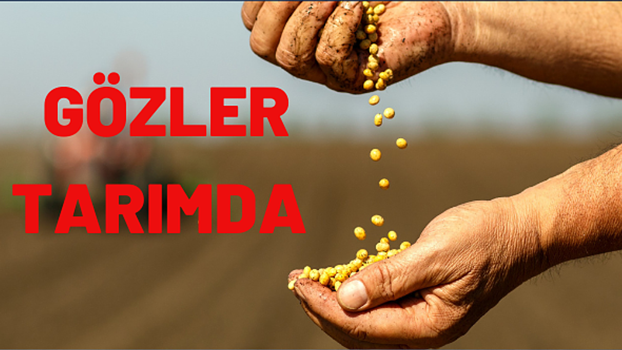 Türk çiftçisi üretiyor, ihracatçı dövize dönüştürüyor