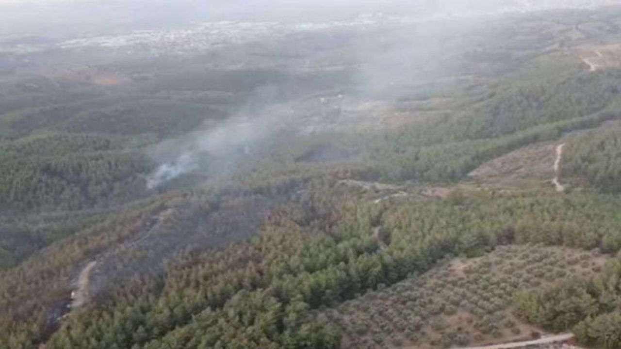 Menderes'in ardından bu kez Buca'da orman yangını