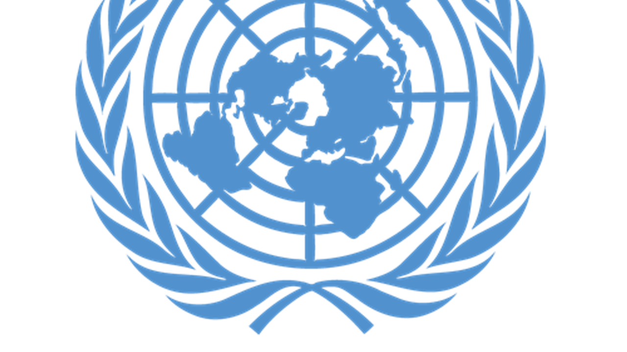 BM Genel Kurulu, Gazze'de acil insani ateşkes kararı