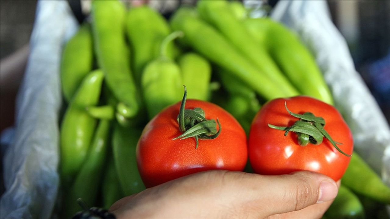 Antalya'dan domates, biber ve hıyar ihracatında rekor!