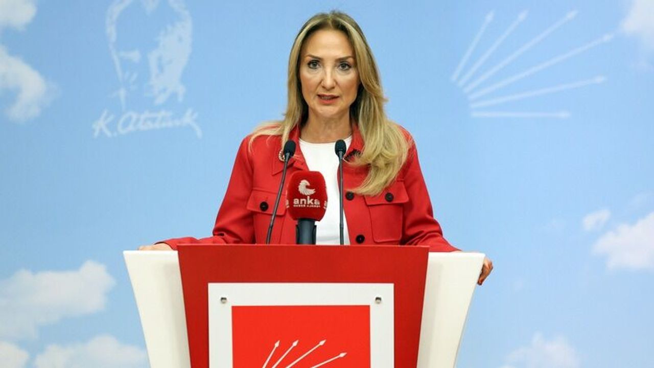 İhraç listesinde adı geçen Nazlıaka'dan açıklama: "Bugünkü CHP köklerinden kopmuş durumdadır"