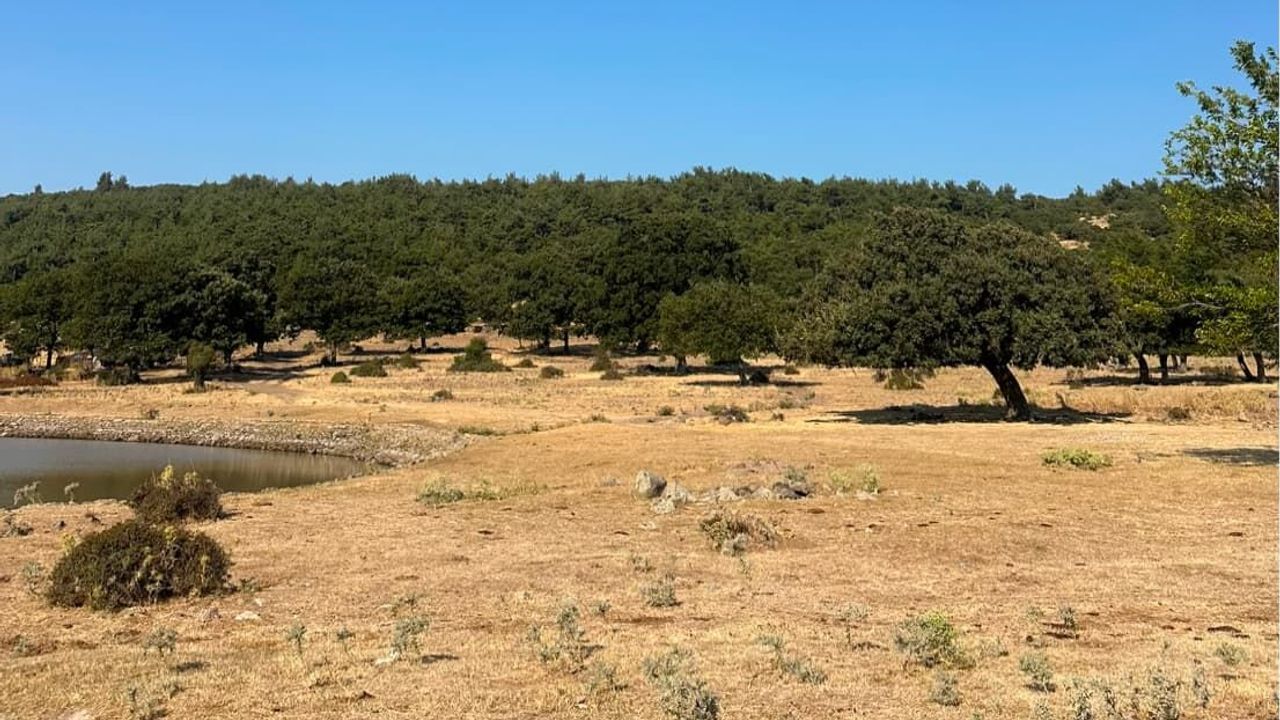 İzmir ve Manisa arasına 145 milyonluk 'demir perde'