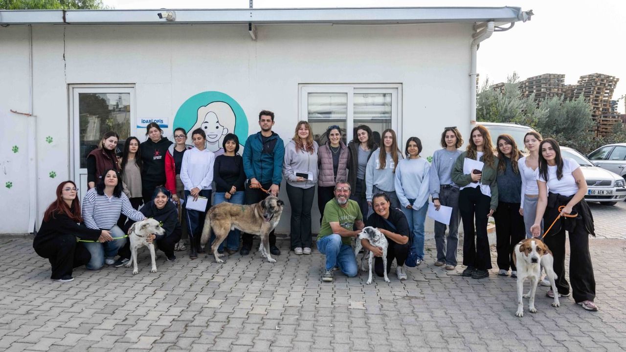 Günlerdir konuşulan 83 köpek için sevindiren gelişme: Tamamı sahiplendirildi!