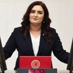 Sevda Erdan Kılıç'tan 'Çerçeve Yasa' açıklaması: "İmzamız açık bir çek değil, tarihi sorumluluktur"