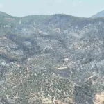 Fethiye'deki orman yangını kontrol altına alındı: Yüreği yakan manzara böyle görüntülendi!