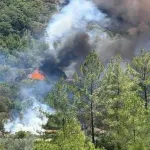 Muğla yangın son dakika: Muğla'da yangın nerede başladı, son durum nedir?