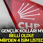 CHP Gençlik Kolları MYK'sı belli oldu! İzmir'den 4 isim listede!