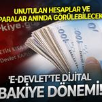 Unutulan hesaplar ve paralar anında görülebilecek: 'e-devlet’te dijital bakiye dönemi: