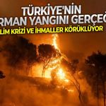 İklim krizi ve ihmaller körüklüyor: Türkiye'nin orman yangını gerçeği!
