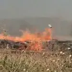 Tire OSB’de korkutan yangın! Fabrika alevlere teslim oldu