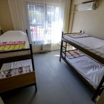 İzmir'de üniversite kazanan öğrenciler dikkat! Bayraklı'da yurt başvuruları başladı