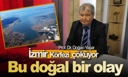 Prof. Dr. Doğan Yaşar: ''Bilime kulak vermezseniz İzmir Körfezi'nde yüzmek hayal olur''