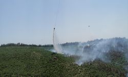İzmir'de orman yangını: 5 helikopter, 2 uçak bölgede