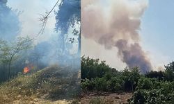 Adana'nın 2 ilçesinde orman yangını