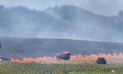 Bursa'da, buğday tarlasında çıkan yangın ormana ilerliyor