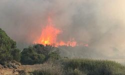 Gökçeada'daki orman yangını, 16,5 saat sonra kontrol altında