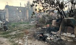 Manisa’daki orman yangınında 14 ev ve 3 ahır kül oldu
