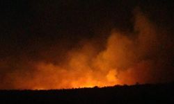 Yurt genelinde görülen orman yangınlarında son durum
