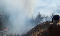 İzmir’de iki orman yangını birden başladı