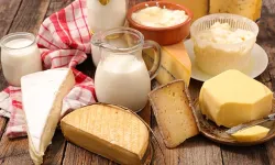 Peynir ve sütte ’brusella’ tehlikesi