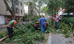 Ankara'da kuvvetli rüzgar; ağaçlar devrildi, çatılar uçtu