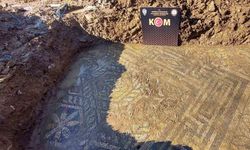 İzmir’de polisin mozaik bulduğu bölge sit alanı ilan edildi