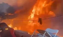 Maltepe'deki orman yangını : 2 şüpheli gözaltına alındı