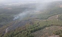 Menderes'in ardından bu kez Buca'da orman yangını