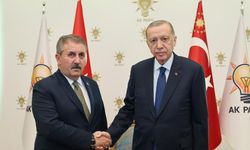 Cumhurbaşkanı Erdoğan, Destici ile görüştü