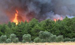 Ege Bölgesi tehlikede, sıcaklıklar 2 derece artarak orman yangınlarını tetikliyor