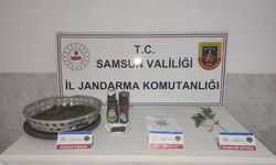 Samsun'da yasa dışı kenevir ekimi ve esrar üretimi ile ilgili şüpheli gözaltına alındı