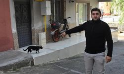 İzmir'de, sokak kedisine keserli saldırı kamerada