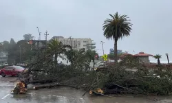 Arjantin'de şiddetli fırtına: 13 ölü, başkentte alarm verildi