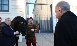 Orban at, Erdoğan Togg hediye etti