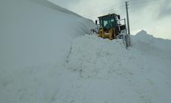 Muradiye'de karla mücadele sürüyor