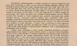 Türk askerinin Aden Körfezi'ndeki görev süresi 1 yıl uzatıldı