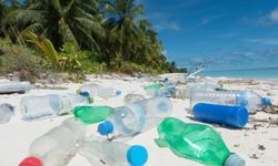 Uzmanlar, Akdeniz'deki plastik kirliliği hakkında endişeli!