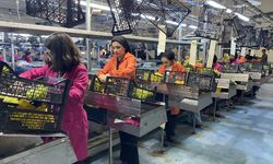 Alaşehir gümrüğünden 155 farklı kalemde ürün ihraç edildi