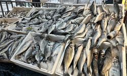 Yüksekova'da balık sezonu başladı