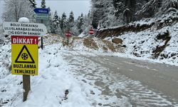 Bolu Yedigöller yolu kar nedeniyle kapandı