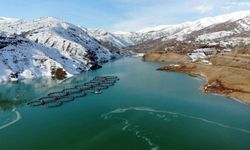 Erzincan'da Göyne Sulama Barajı buz tuttu