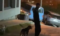 Cihangir'de Pitbull dehşeti: Tartıştığı kişinin üzerine köpeğini saldırttı
