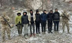 Edirne’de göçmenler yakalandı