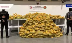 İstanbul Havalimanı'nda 568 kilo uyuşturucu ele geçirildi