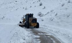 Van, Muş, Bitlis ve Hakkari'de kar yağışı nedeniyle yollar kapandı