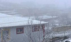 Mardin'e mevsimin ilk karı yağdı: Kırsal bölgeler beyaz örtüyle kaplandı