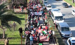 Karadeniz Ereğli, Bolu ve Mardin'de terörü lanetleme ve Gazze'ye destek yürüyüşü