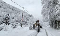Doğu Karadeniz'de kuvvetli kar yağışı uyarısı
